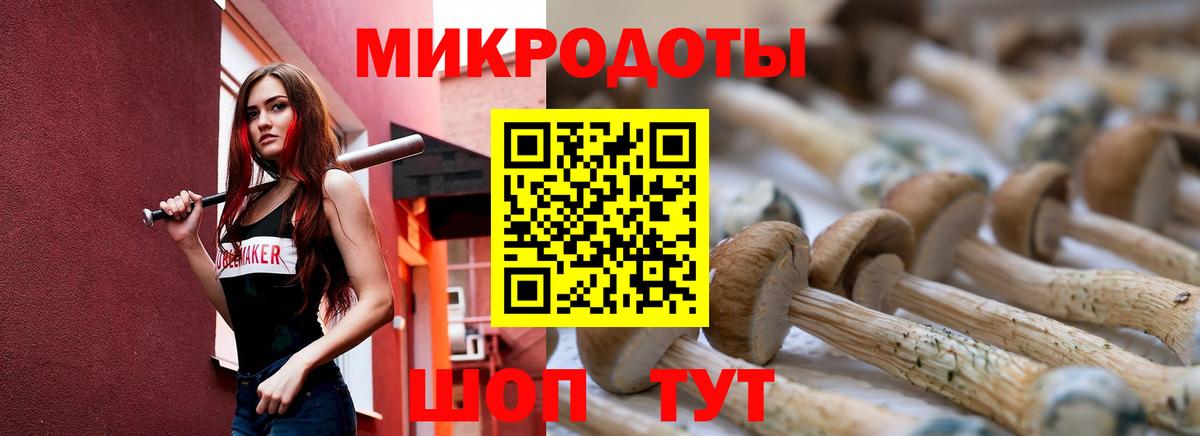 Псилоцибиновые грибы Psilocybine cubensis Мурино