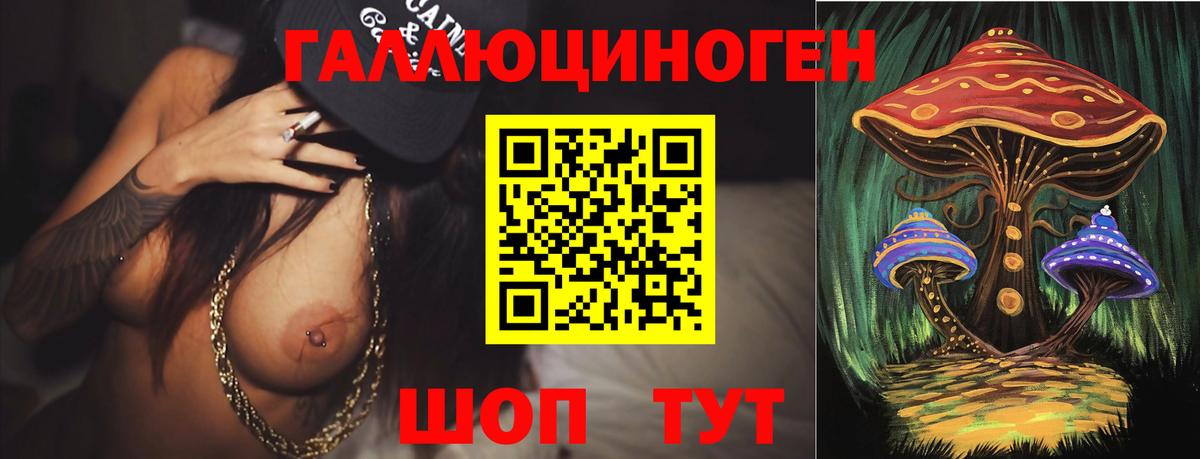 Галлюциногенные грибы MAGIC MUSHROOMS  Вход с VPN  Мурино 